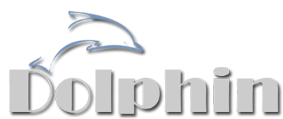 dolphin emulator mac slow